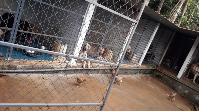 IMG-20190519-WA0157