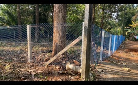 Screenshot_20251206_184100